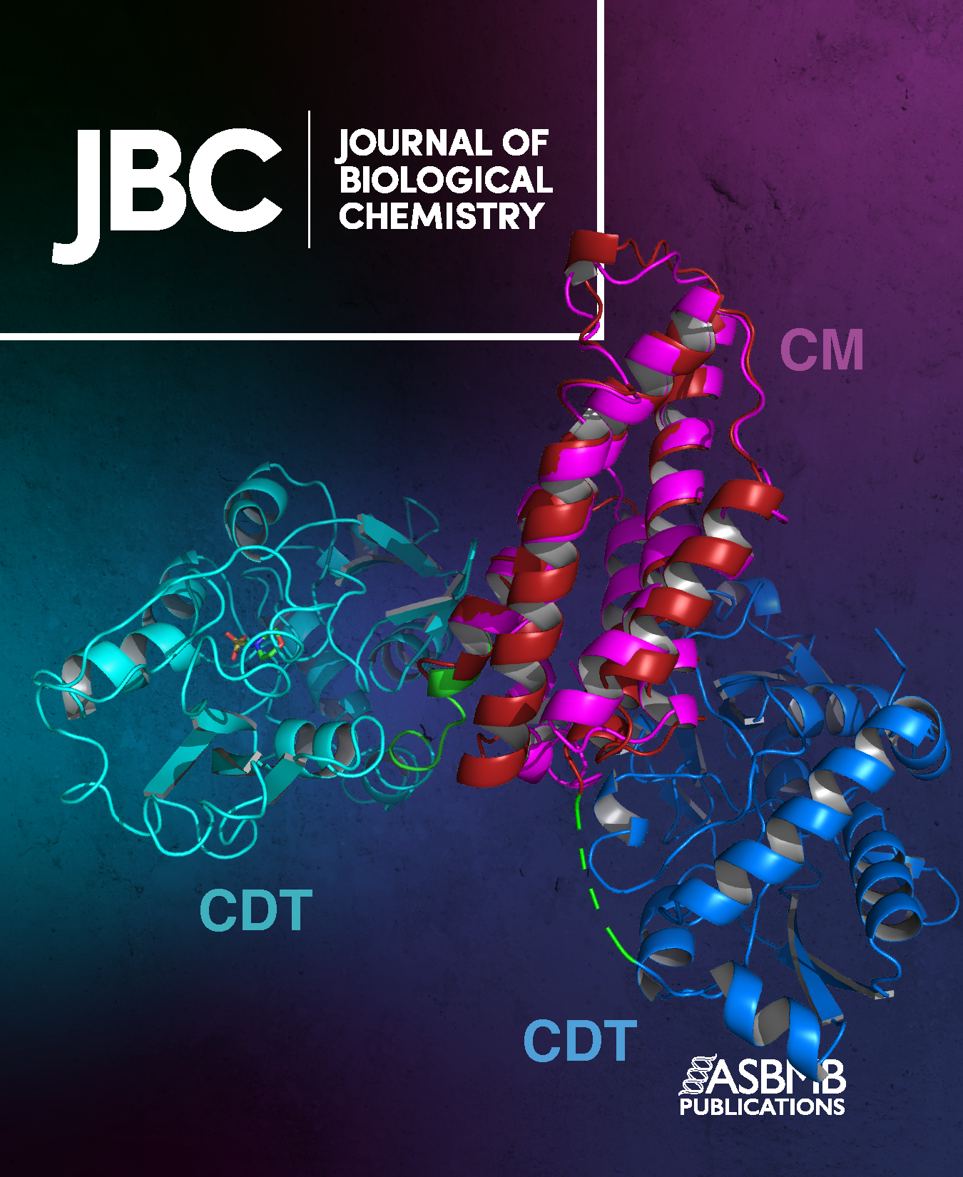 JBC Cover Proposition Stocker et al. 2023